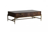 Modrest Shane - Modern Acacia & Brass Coffee Table