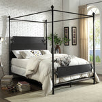 Beatrix Transitional Powder Coated Black Bed