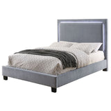 Erglow - Contemporary Gray Bed