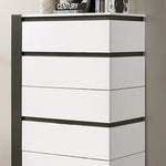 Birsfelden- Contemporary White/Metallic Grey Chest