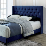 Jenelle - Transitional Navy Bed