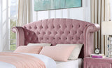 Zohar Pink Velvet-Like Glam Bed