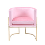 Modrest Betsy - Modern Pink Velvet + Gold Kids Chair